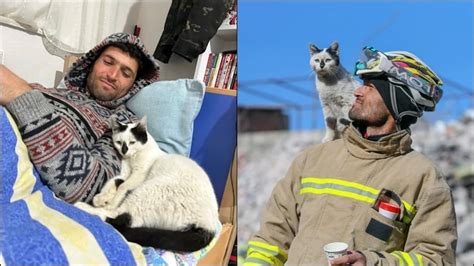 Cat that refused to leave its rescuer’s side in Turkey got adopted ...