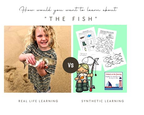 Image result for Learning Concept with Real Life Examples