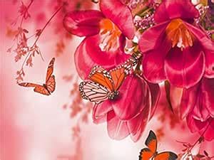 LoveTheFamily Red Flowers and Butterflies Paint by Numbers Kits DIY ...