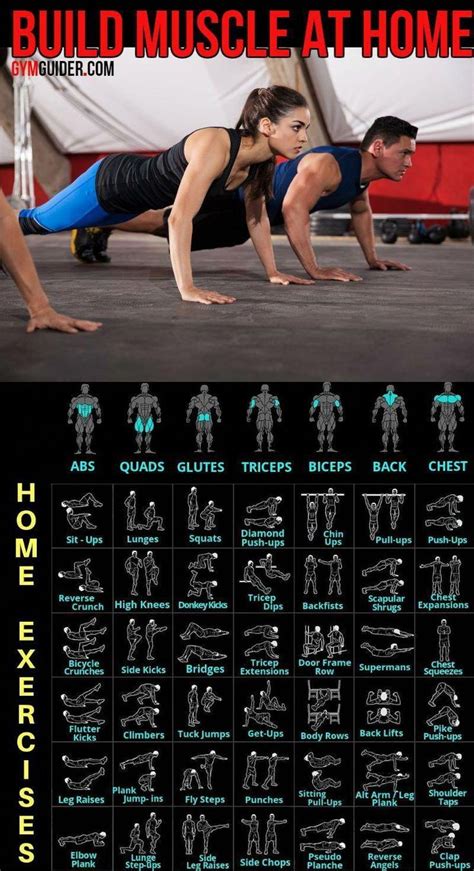 home workout ideas | Body weight workout plan, Gym workout tips ...