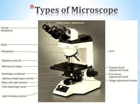 Light Microscope Examples 的图像结果