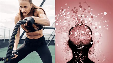 Image result for Reprogram Your Body Intelligence