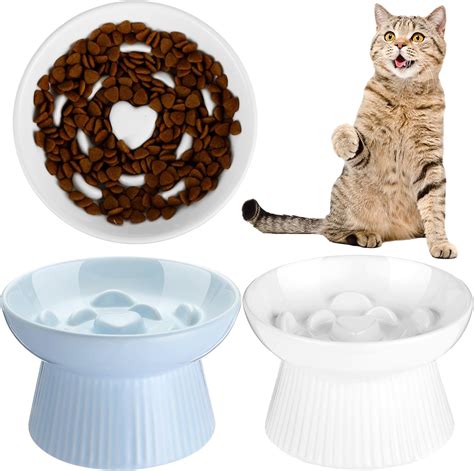 Amazon.com: Tioncy 2 Pcs Ceramic Slow Feeder Raised Cat Bowl Cat Food ...