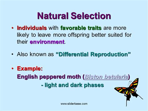 Image result for Natural Selection vs Evolution