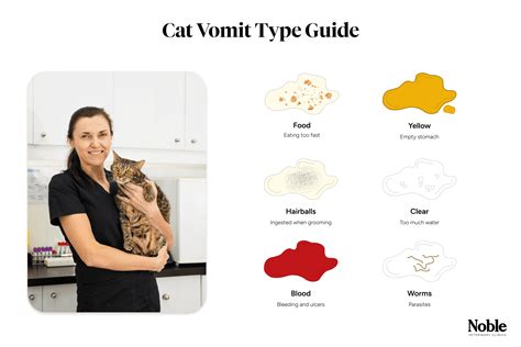 Cat Vomiting: Causes, Types, Diagnosis and Treatment