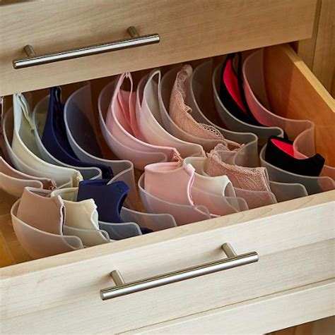 Organizer 的图像结果