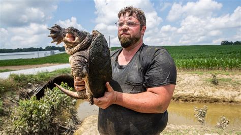Snapping Turtle Hunting 的图像结果