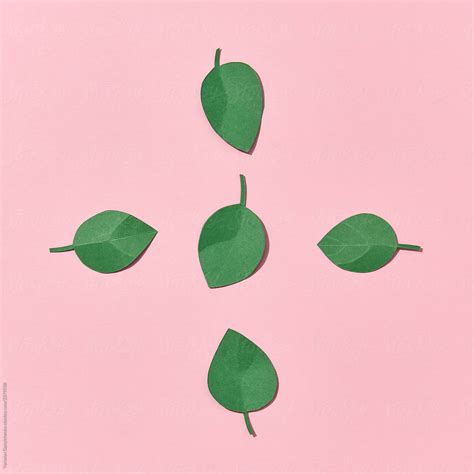 Image result for Paper Leaf