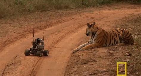 Image result for A Remote Control Car Has a Camera