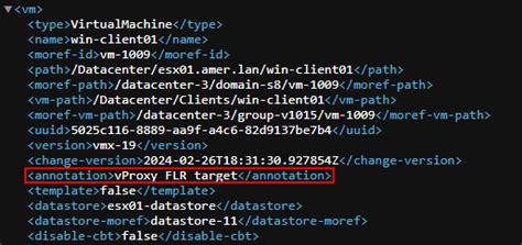 NVP vProxy: VM does not appear as a target in the FLR Web Client | Dell ...