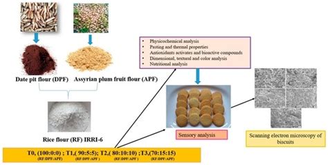 The Impact of Innovative Plant Sources (Cordia myxa L. Fruit (Assyrian ...