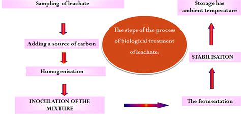 Biotechnical Process 的图像结果