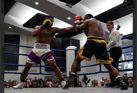 Image result for All-Star Boxing