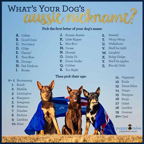 What's your Dog's Aussie Nickname? - Puppy Tales