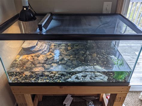 Image result for Red Ear Slider Turtle Tank Setup