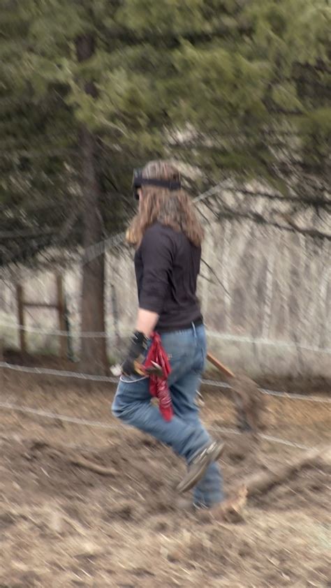 Image result for Bush Wolves