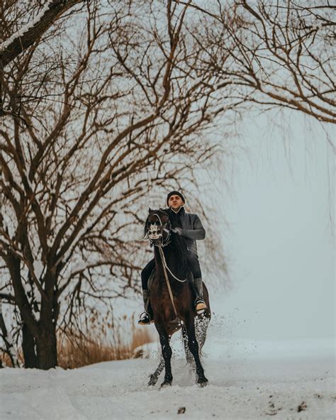 Man Riding Horse in Snow · Free Stock Photo