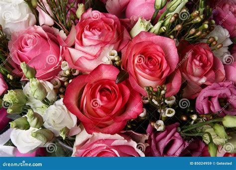Huge bouquet of roses stock image. Image of flower, friendship - 85024959
