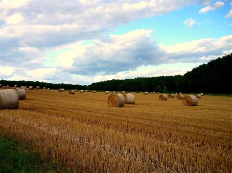 La PAC: historia y evolución - BLOG