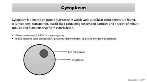 Basic Cell Structure 的图像结果