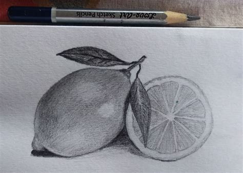 Image result for Lemon Shadow Drawing