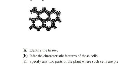 (a) Identify the tissue,(b) Infer the characteristic features of these ...