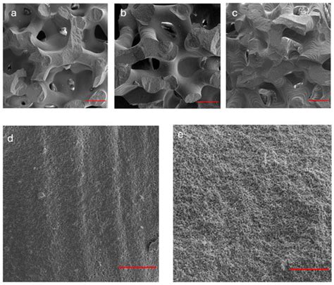 Morphometric, Biomechanical and Macromolecular Performances of β-TCP ...