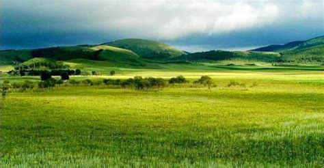 Shankar IAS: Summary of Terrestrial Ecosystem - Notes | Study Famous ...