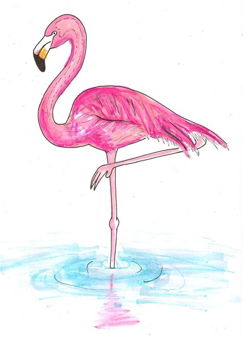 Flamingo Drawing