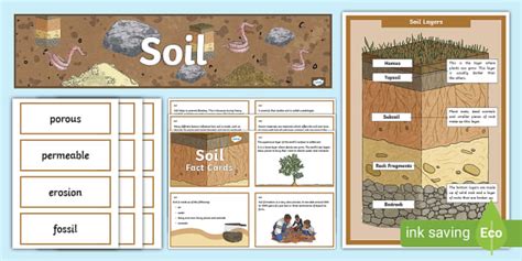 Soil Display Pack - Twinkl - KS2