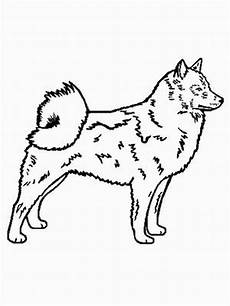 malvorlagen hunde gratis finnischer spitzhund ausmalbild malvorlage hunde malvorlagen hunde gratis finnischer spitzhund ausmalbild malvorlage hunde