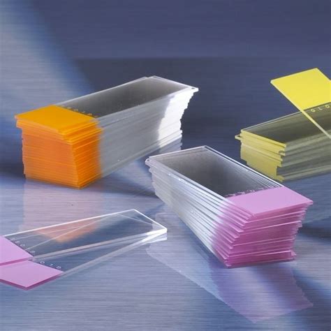 Color Code Microscope Slides 的图像结果