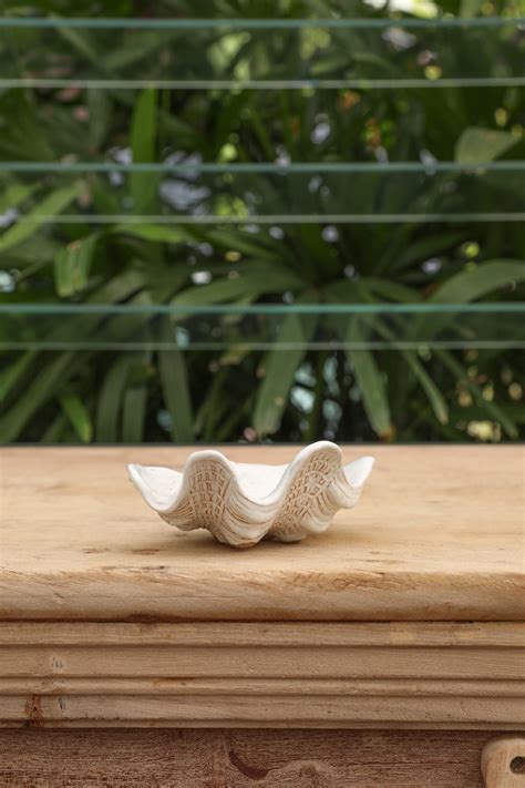 Image result for Shell Menu Dish