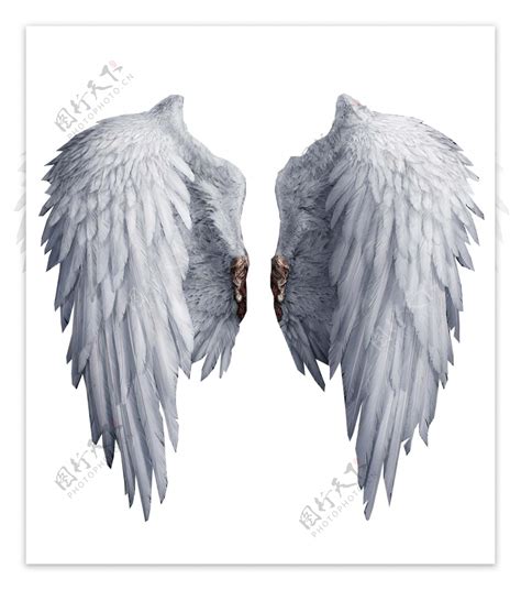 天使翅膀图片素材-编号37046250-图行天下