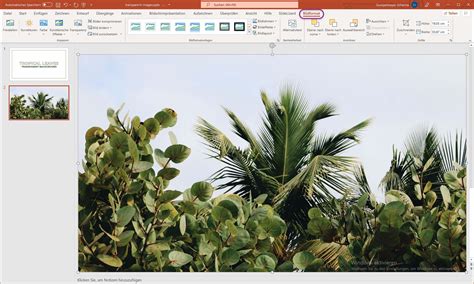 Bilder in PowerPoint transparent machen (2022) | SlideLizard®