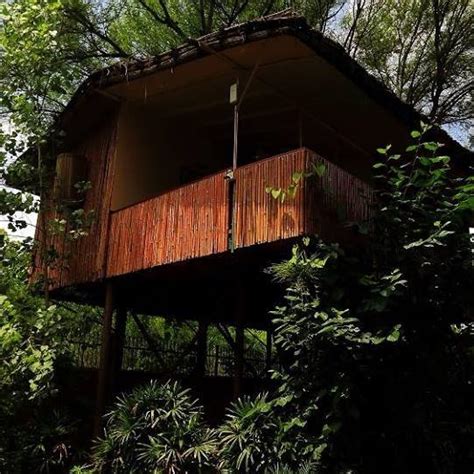 Visit The Tree House Resort In Jaipur For A Vacation | WhatsHot Delhi Ncr