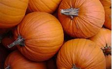 Orange Wallpaper Pumpkin by Pumpkin Orange Vegetable Wallpaper 2880x1800 178562 Orange Wallpaper Pumpkin