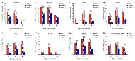 Amino Acid Substitutions in NS5 Contribute Differentially to Tembusu ...
