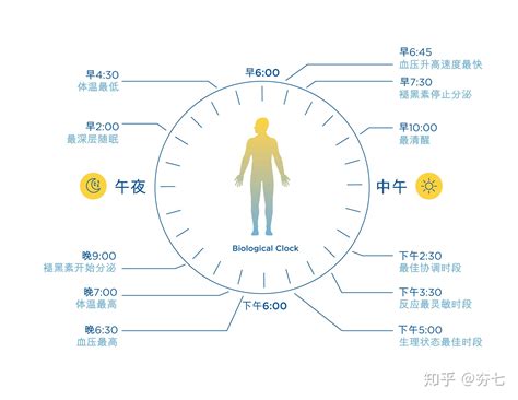 改善睡眠质量知道这点就足够了【用科学知识来睡个好觉】 - 知乎