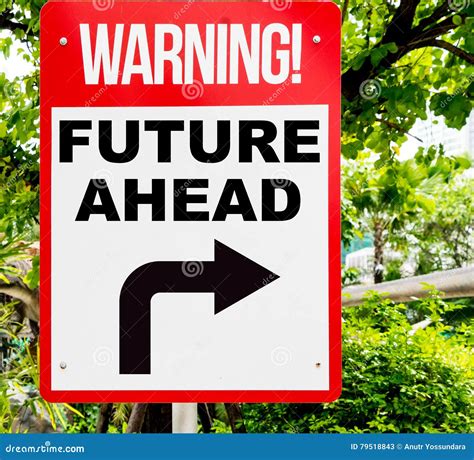 Looking into the Future 的图像结果