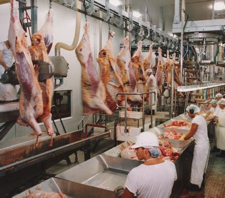 Image result for Beef Processing Room