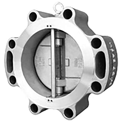 Titan Flow Control CV42LSSM0500 5 Inch Check Valve, Lug Type, Stainless ...