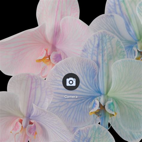 Image result for Google Pixel Camera