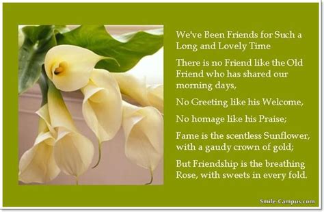 Image result for Hello Friends Quotes