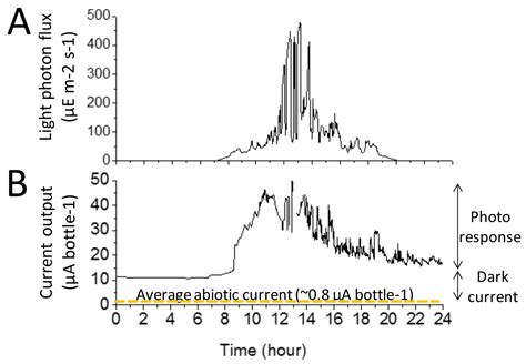 Electrochemical Characterisation of Bio-Bottle-Voltaic (BBV) Systems ...