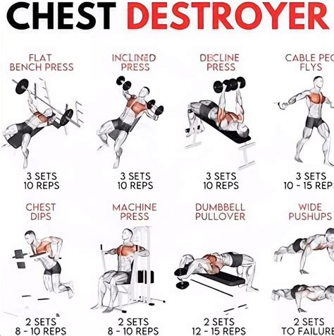 Chest Dumbbell Workout: Your Complete Gym Workout Guide | Gym workout ...