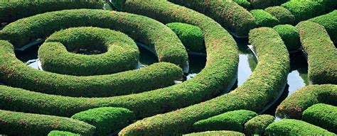 Green Trade Tensions