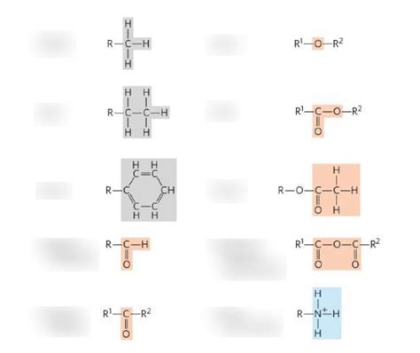 Image result for Examples of Common Functional Groups