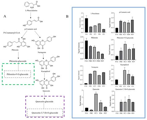 Plant-Wide Target Metabolomics Provides a Novel Interpretation of the ...