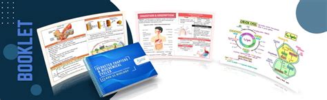 NCERT based NEET(UG) Biology flashcards for Class 11th : Rans2ho ...